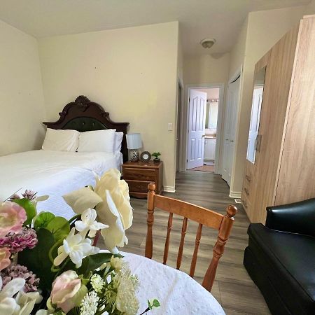 Main Suite Kingston Exterior foto
